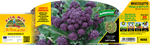 Broccoletto Viola a getti F1 - 85 giorni