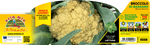 Broccolo di Bassano - 110 giorni