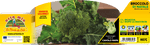 Broccolo di Natale - 90 Giorni