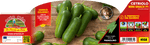 Pianta di Cetriolo Snack var. Espadana F1 - Orto Mio - Pronta al Trapianto