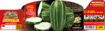 Pianta di Cetriolo Meloncella o Spuredda Leccese - Orto Mio - Pronta al Trapianto