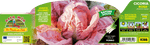 Pianta di rosa var. monterosa (110 giorni) in 9 piante in cubetto – Orto Mio Forlì