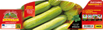 Pianta di zucchino chiaro genovese in 4 piante in pack – Orto Mio Forlì