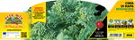 Pianta di cima di rapa sessantina in 12 piante in pack – Orto Mio Forlì