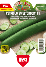 Cetriolo Lungo Burpless Sweetcrock F1