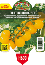 Pianta di ciliegino giallo var. hinoky f1 in 1 pianta in vaso 10 – Orto Mio Forlì