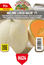 Melone Liscio Bacir F1