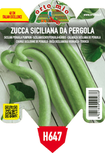 Pianta di siciliana lagenaria da pergola in 1 pianta in vaso 10 – Orto Mio Forlì