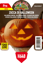 Pianta di halloween var. magician f1 in 1 pianta in vaso 10 – Orto Mio Forlì
