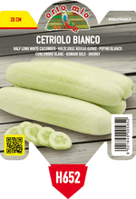 Pianta di bianco mezzo lungo f1 in 1 pianta in vaso 10 – Orto Mio Forlì
