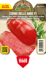 Pianta di corno delle ande var. bellandine f1 (ex cornabel) no pro in 1 pianta in vaso 10 – Orto Mio Forlì