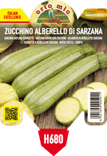 Pianta Zucchino Alberello di Sarzana var. Levante F1 - Orto Mio
