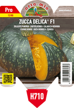 Pianta Zucca Tonda var. Delica F1 - Orto Mio
