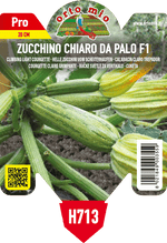 Pianta di chiaro da palo var. joker f1 (ex ortano-stratos) in 1 pianta in vaso 10 – Orto Mio Forlì