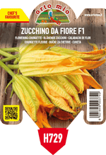 Zucchino da Fiore var. Striato d'Italia F1