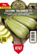 Pianta Zucchino Bolognese var. Dozza F1 - Orto Mio