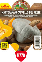 Pianta di cappello del prete tipo mantovana in 1 pianta in vaso 10 – Orto Mio Forlì