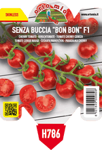 Pianta di ciliegino "senza buccia" bonbon in 1 pianta in vaso 10 – Orto Mio Forlì