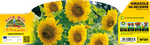 Pianta Girasole Nano Ornamentale - Orto Mio