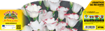 Pianta Lisianthus Ornamentale - Fiore Reciso Elegante - Orto Mio