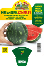 ANGURIA INNESTATA MINI COMETA F1 ORTO MIO