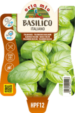 Basilico italiano