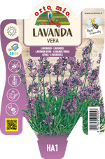 Lavanda Vera