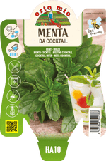 Menta da Cocktail