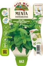 Menta Hierbabuena