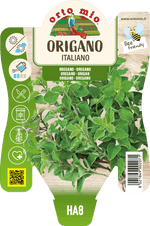 Origano