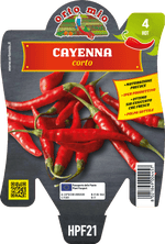 Peperoncino Orto Mio Cayenna Corto HP 187 F1