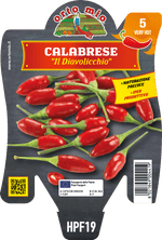 Peperoncino Orto Mio Diavolicchio Calabrese