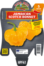 Peperoncino Orto Mio Jamaican Scotch Bonnet