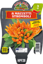 Peperoncino Orto Mio Mazzetti Arancio Stromboli