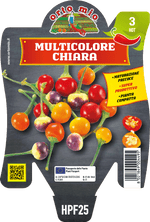 Peperoncino Orto Mio Multicolore Chiara