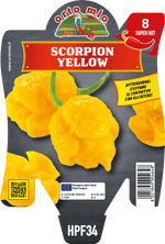Peperoncino Orto Mio Scorpion Giallo