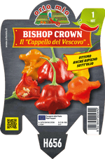 Peperoncino Orto Mio Bishop Crown - Cappello del Vescovo