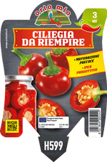 Peperoncino Orto Mio Piccante ciliegia Tondo da Acciuga Topik F1