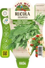 Rucola Selvatica