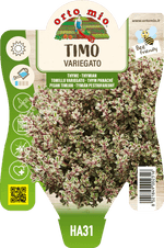 Timo Variegato