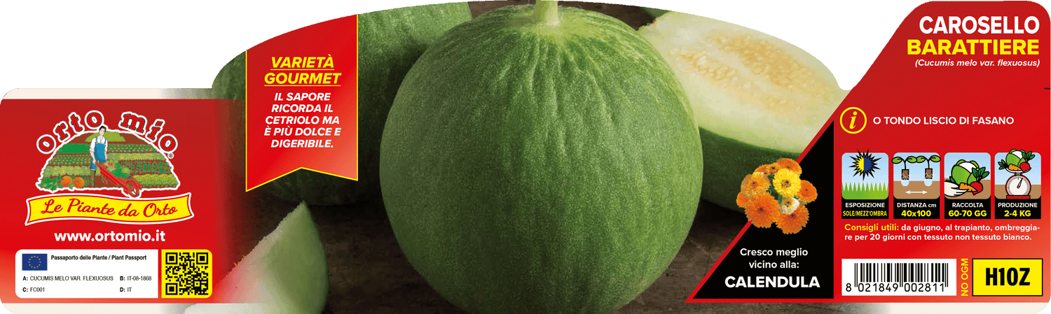 Pianta di Cetriolo Carosello Barattiere - Orto Mio - Pronta al Trapianto