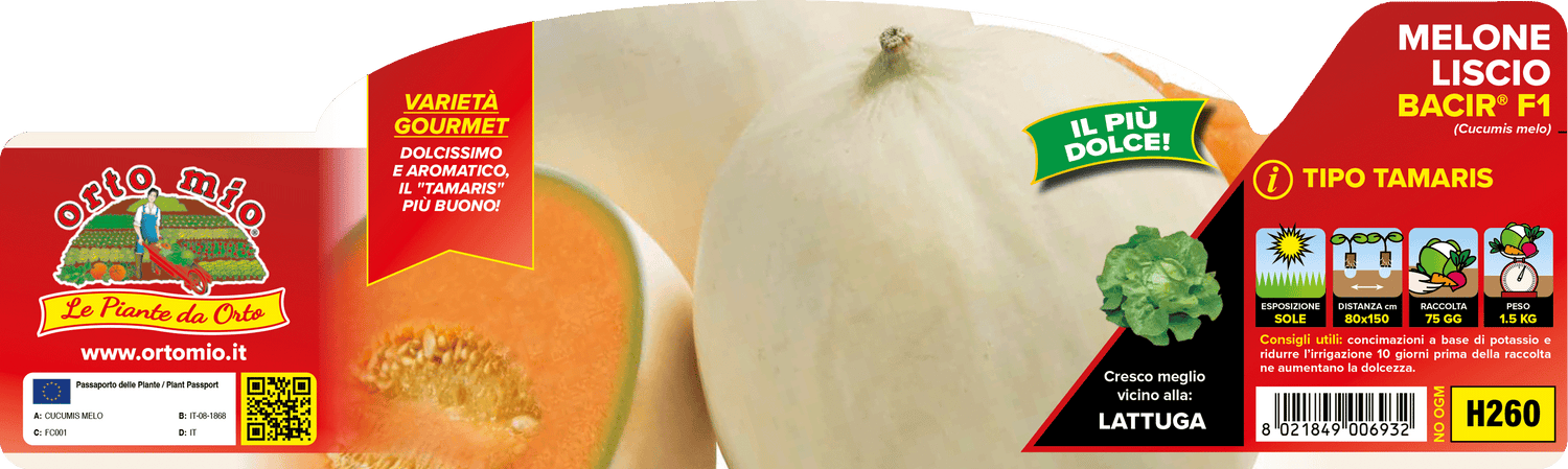 Melone Liscio Bacir F1