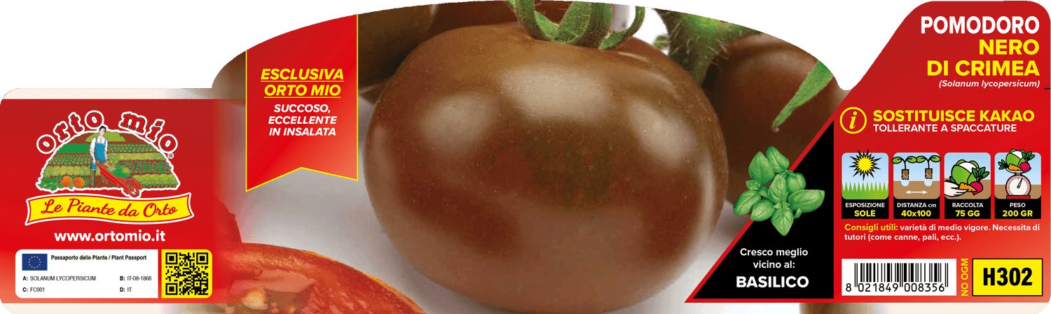 Pianta Pomodoro Nero di Crimea var. Plutone F1 - Orto Mio