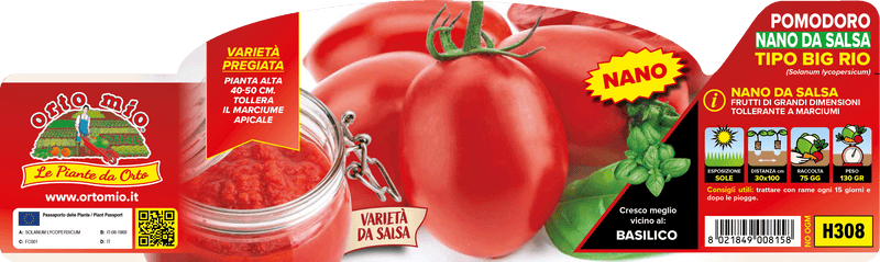 Pianta di ovale da salsa var. big rio f1 in 6 piante in pack – Orto Mio Forlì