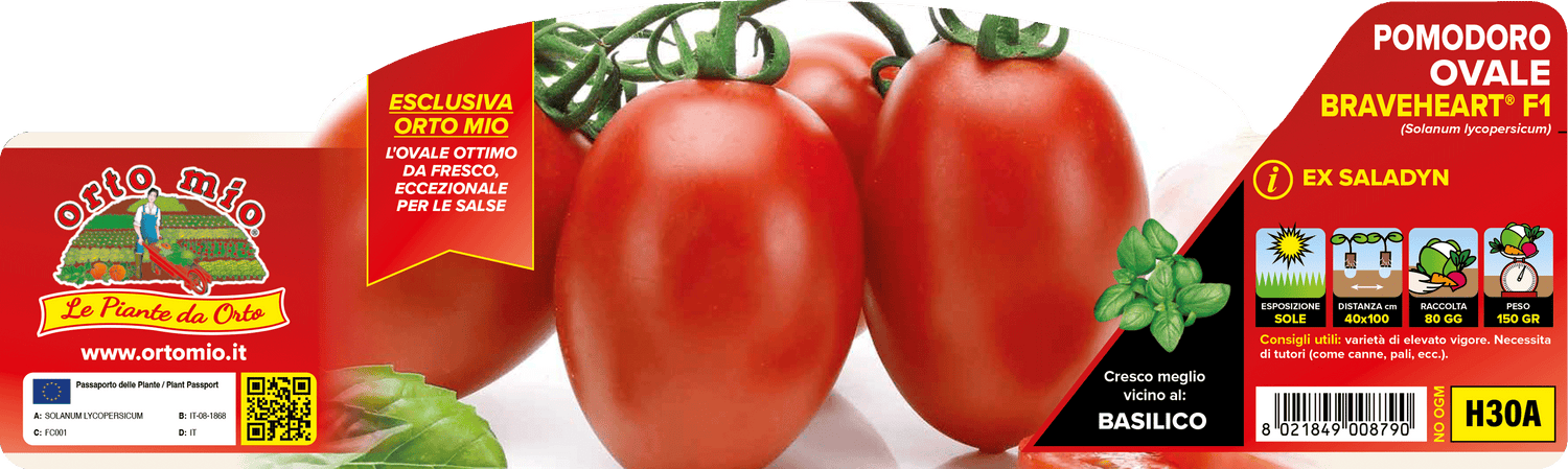Pianta Pomodoro da Salsa Braveheart F1 - Pomodoro Palo 170gr Resistente Peronospora TSWV | Orto Mio