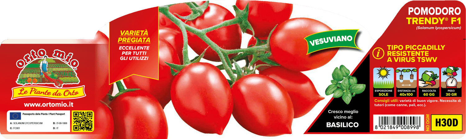 Pianta Pomodoro Piccadilly Pummadilly F1 - Pomodorino 35gr Resistente Peronospora TSWV | Orto Mio