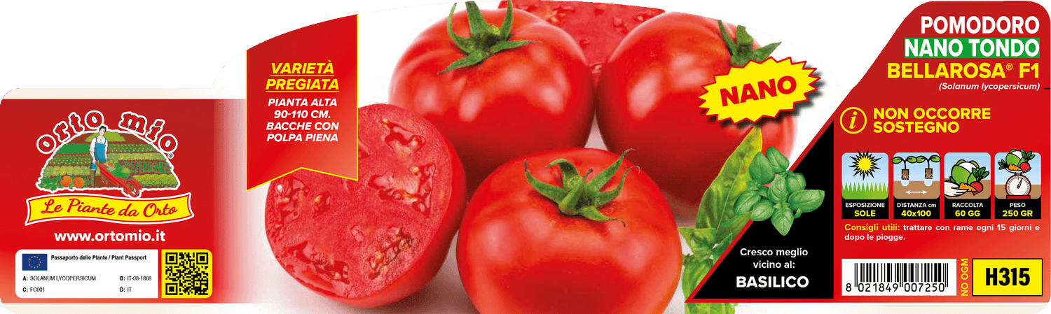 Pianta Pomodoro Tondo nano var. Bellarosa F1 - Orto Mio