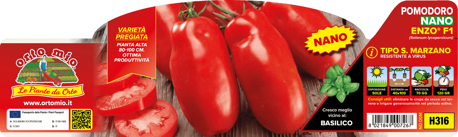 Pianta Pomodoro San Marzano nano var. Enzo F1 - Orto Mio
