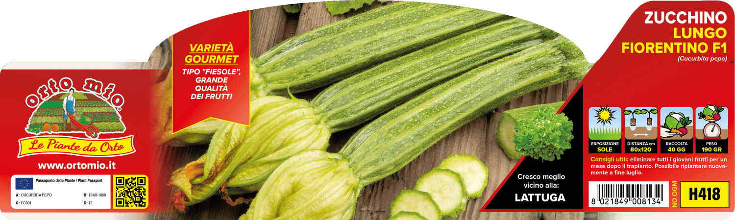 Zucchino Lungo Fiorentino tipo Fiesole