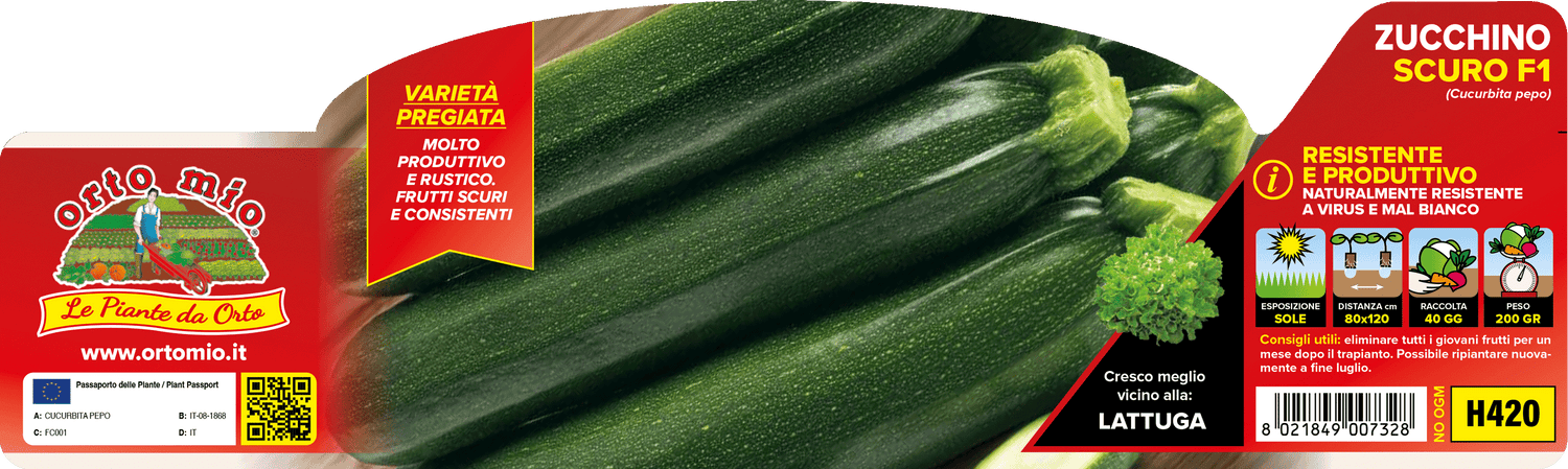Pianta Zucchino Scuro var. Aloha F1 - Orto Mio